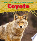 Coyote (Day in the Life. Grassland Animals)