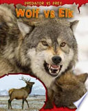 Wolf vs Elk (Predator vs Prey)