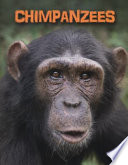 Chimpanzees
