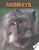 Monkeys