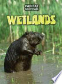Wetlands (Habitat Survival)