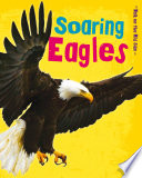 Soaring Eagles (Walk on the Wild Side)