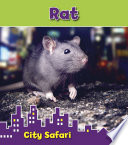 Rat: City Safari