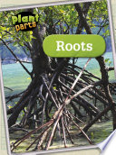 Roots