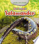 Life Story of a Salamander (Young Explorer: Animal Life Stories)