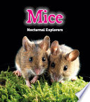 Mice: Nocturnal Explorers (Night Safari)