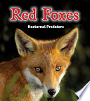 Red Foxes
