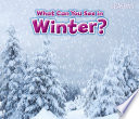 What Can You See In Winter? (Seasons)