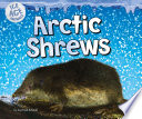 Arctic Shrews (Ice Age Animals)