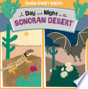 A Day and Night in the Sonoran Desert