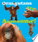 Orangutans Are Awesome!