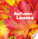 Autumn Leaves