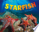 Starfish (Sea Life)