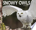 Snowy Owls