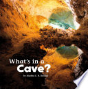 What*s in a Cave?
