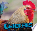 Chickens (Farm Animals)