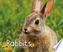 Rabbits (Pebble Plus: Woodland Wildlife)