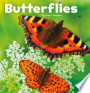 Butterflies (Little Pebble: Little Creatures) (Little Critters)