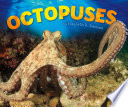 Octopuses