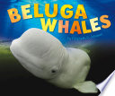 Beluga Whales (Pebble Plus: Sea Life)