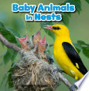 Baby Animals in Nests