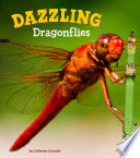 Dazzling Dragonflies (A+ Books: Marvellous Minibeasts!)