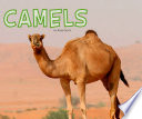 Camels