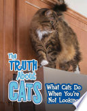 Pets Undercover!: The Truth about Cats: What Cats Do When You*re Not Looking