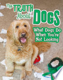 Pets Undercover!: The Truth about Dogs: What Dogs Do When You*re Not Looking