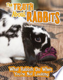 Pets Undercover!: The Truth about Rabbits: What Rabbits Do When You*re Not Looking