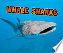 All About Sharks: Whale Sharks