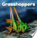 Little Creatures: Grasshoppers (Little Critters)