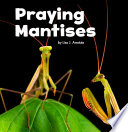 Little Creatures: Praying Mantises (Little Critters)