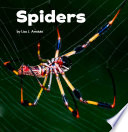Little Creatures: Spiders (Little Critters)