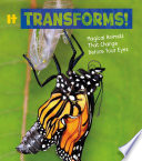 Magical Animals: It Transforms!: Magical Animals That Change Before Your Eyes