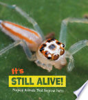 Magical Animals: It*s Still Alive!: Magical Animals That Regrow Parts