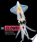 Magical Animals: It Glows!: Magical Animals That Give Off Light