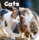 Catsq