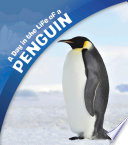 A Day in the Life: A Day in the Life of a Penguin