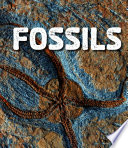 Rocks: Fossils