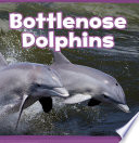 Mammals In the Wild: Bottlenose Dolphins