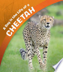 A Day in the Life: A Day in the Life of a Cheetah