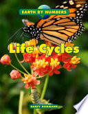 Life Cycles