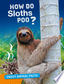 Crazy Animal Facts: How Do Sloths Poo?