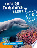 Crazy Animal Facts: How Do Dolphins Sleep?
