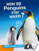 Crazy Animal Facts: How Do Penguins Stay Warm?