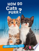 Crazy Animal Facts: How Do Cats Purr?