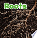 Roots (Plant Parts)