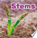 Stems (Plant Parts)
